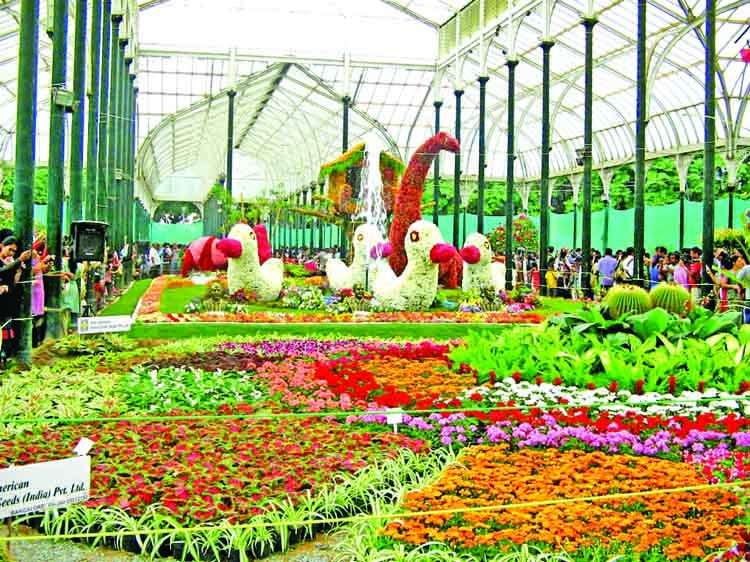 Near Lalbagh